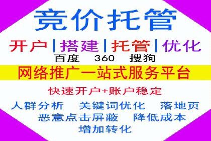 SEM搜索引擎优化：广告创意的策划与执行